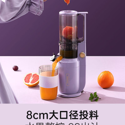 大宇原汁机榨汁机家用渣汁分离电动炸水果小型便携式果汁机 DY-BM03